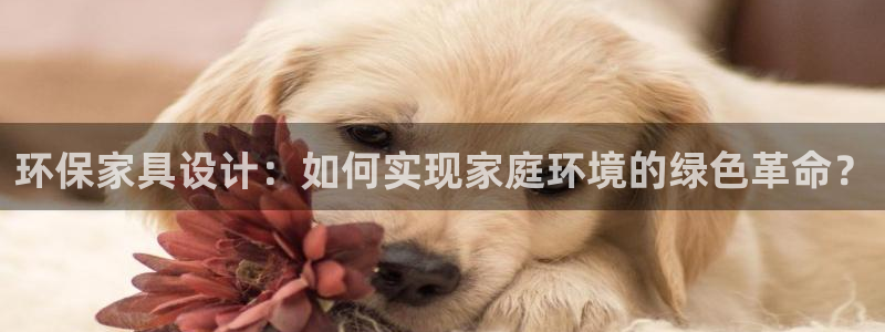 usdt钱包权限被恶意篡改